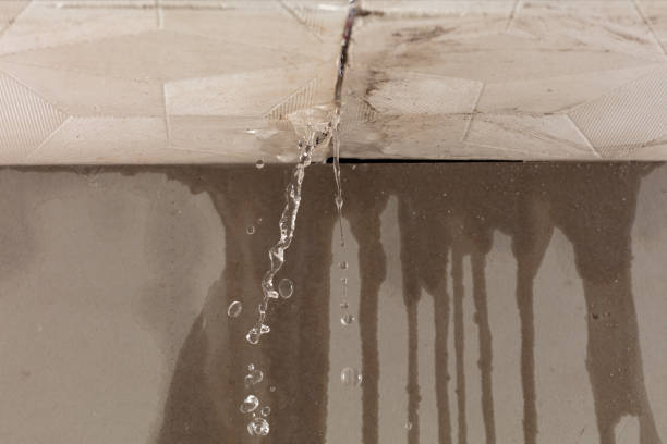 Professional Commercial Water Damage Restoration technician working in New Madison, OH